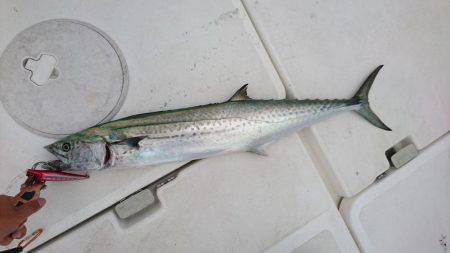 紀北ジギング、キャスティング