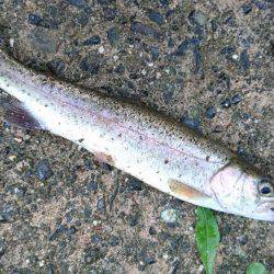 名阪森林パーク