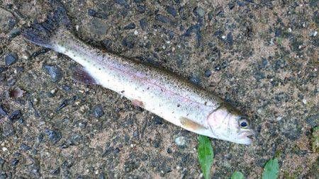 名阪森林パーク