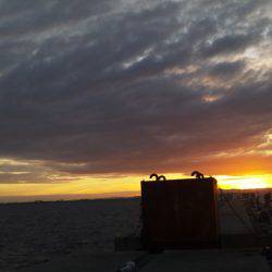 ジギングで青物