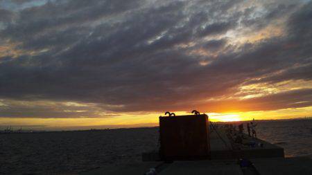 ジギングで青物