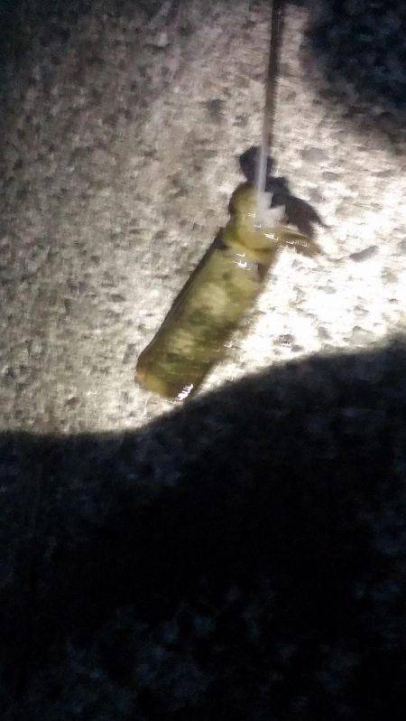 満潮前後に釣れました。