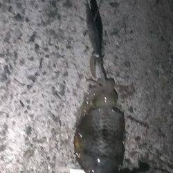 一時間１本勝負！！