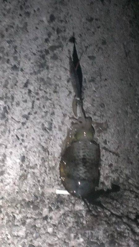 一時間１本勝負！！