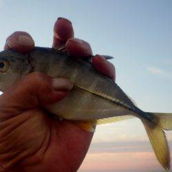 メッキ調査その２