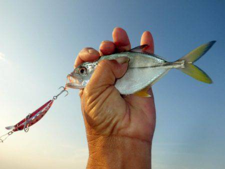 メッキ調査その3