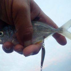 初の場所でメッキ調査