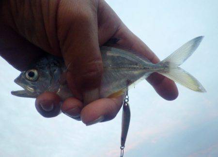 初の場所でメッキ調査