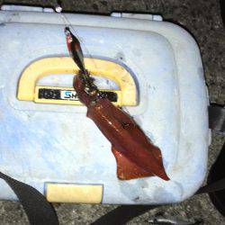 アジュール舞子は大混雑