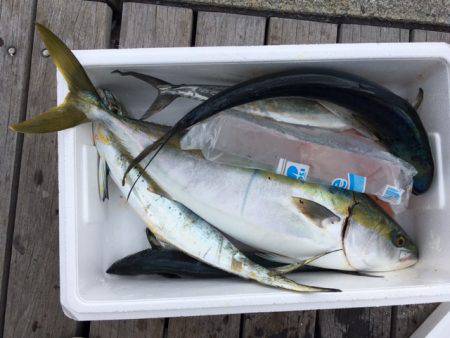 ショアジギング