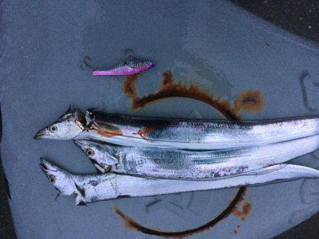 バイブレーションでタチウオ