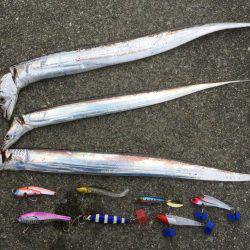 ボラジャンプ！　と思ったら。。。