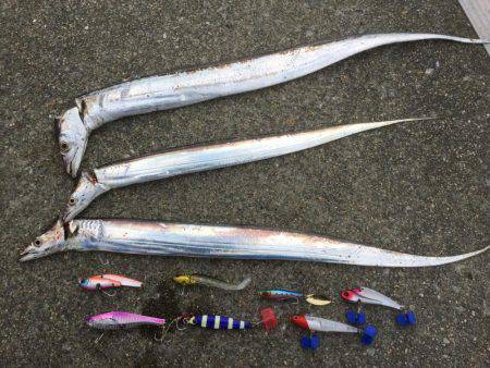 ボラジャンプ！　と思ったら。。。