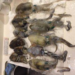 型が良くなってきました