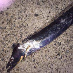 ライトライトライト