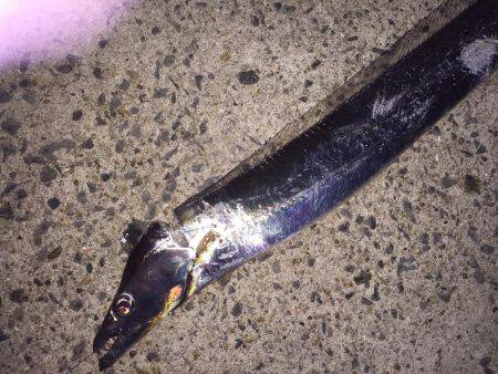 ライトライトライト