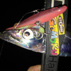 連日連夜絶好調٩(^‿^)۶