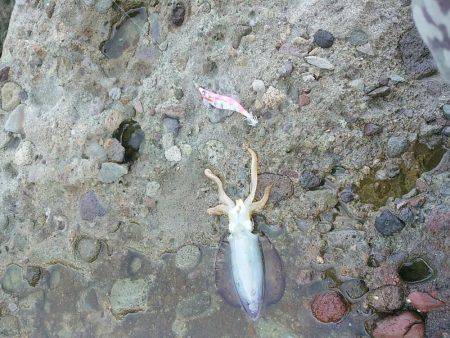 山陰海岸ジオパークにて