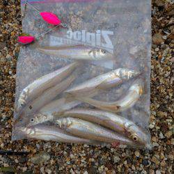 小雨の中、キッシング