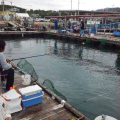 海上釣り堀岬でかんぱチねらい