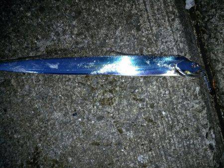 サーベリング！