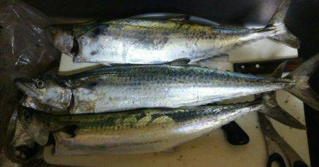 天気予報当たらん