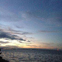 渋い原因は。。。