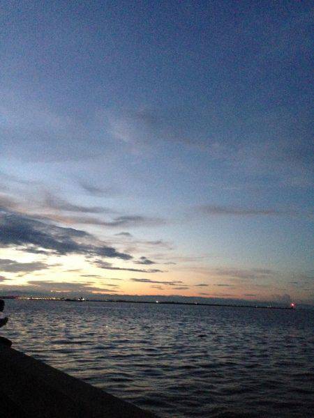 渋い原因は。。。