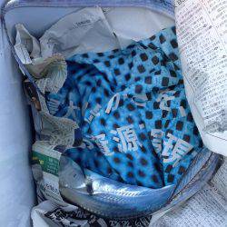 エギングでタチウオ