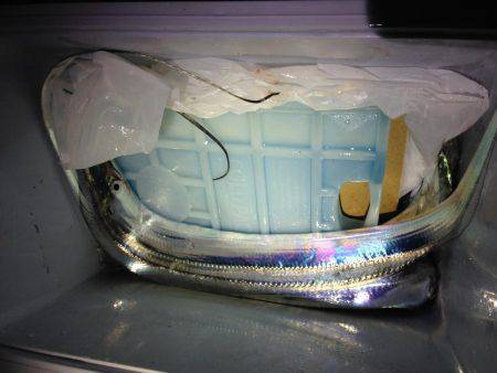 エギングでまたタチウオ