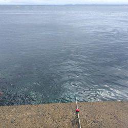 ボートエギングがダメになり陸っぱりエギングへ