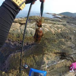 京丹後でランガンエギング