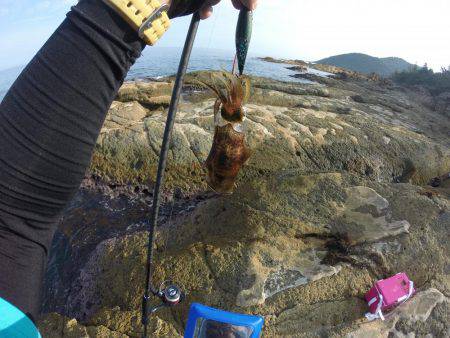 京丹後でランガンエギング