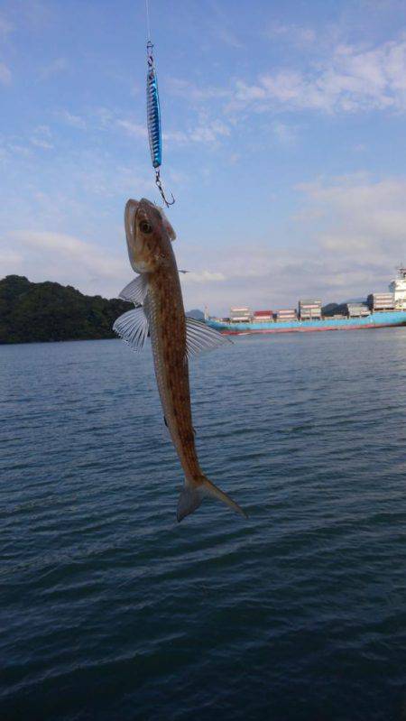 エソしか釣れへん