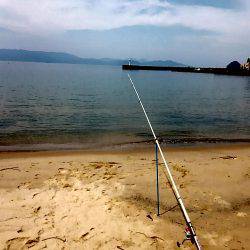 キスが食べたくて…