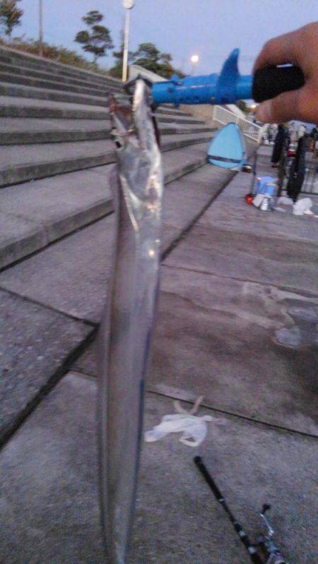 渋いと思うんですよ