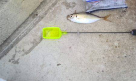 台風が来る前に、