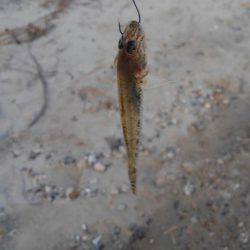 30分一本勝負！