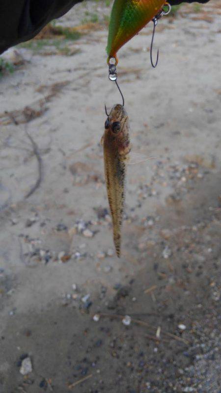 30分一本勝負！