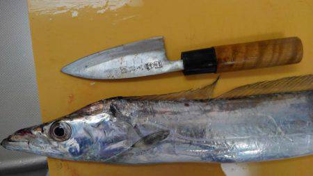 新波止タチウオ