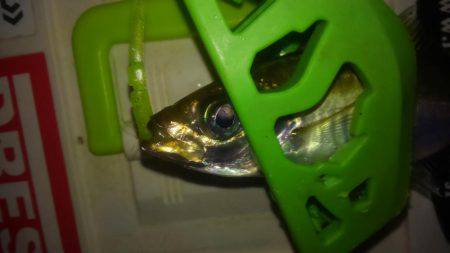 ワインド不発後