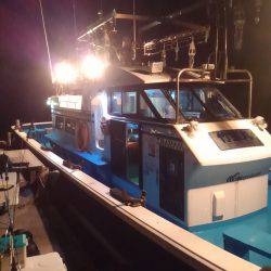 激渋イカメタル