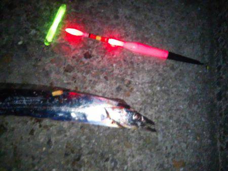 タチウオ浮き釣りへ