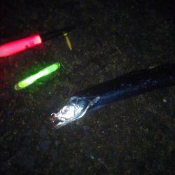 台風さって早速