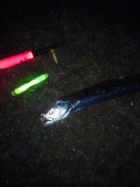 台風さって早速