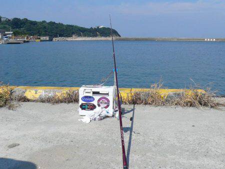 シーズン初の明神釣行