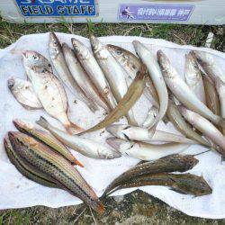 台風通過後初の淡路釣行