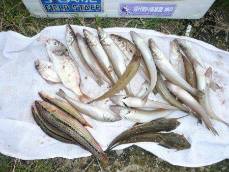 台風通過後初の淡路釣行
