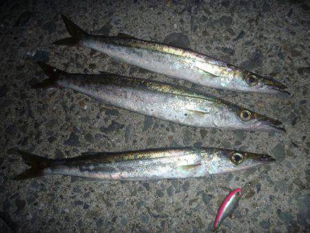 時合に遅れ。。。