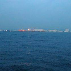 太刀魚まずまず